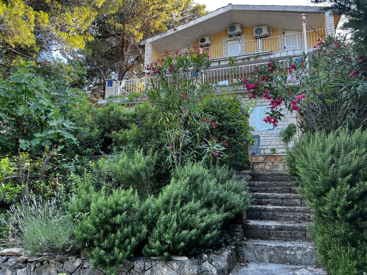 Apartmani Lidija Karin Donji Donji Karin Kültér fotó